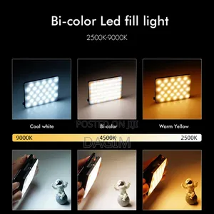 Influencer Light/ Mobile And Pc Fill Light