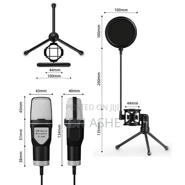 Condenser Microphone