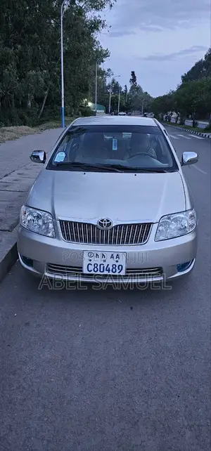 Toyota Corolla 2007 Gray