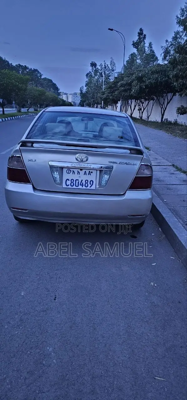 Toyota Corolla 2007 Gray