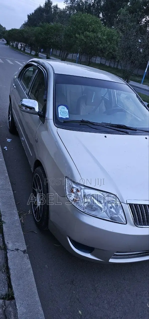 Toyota Corolla 2007 Gray