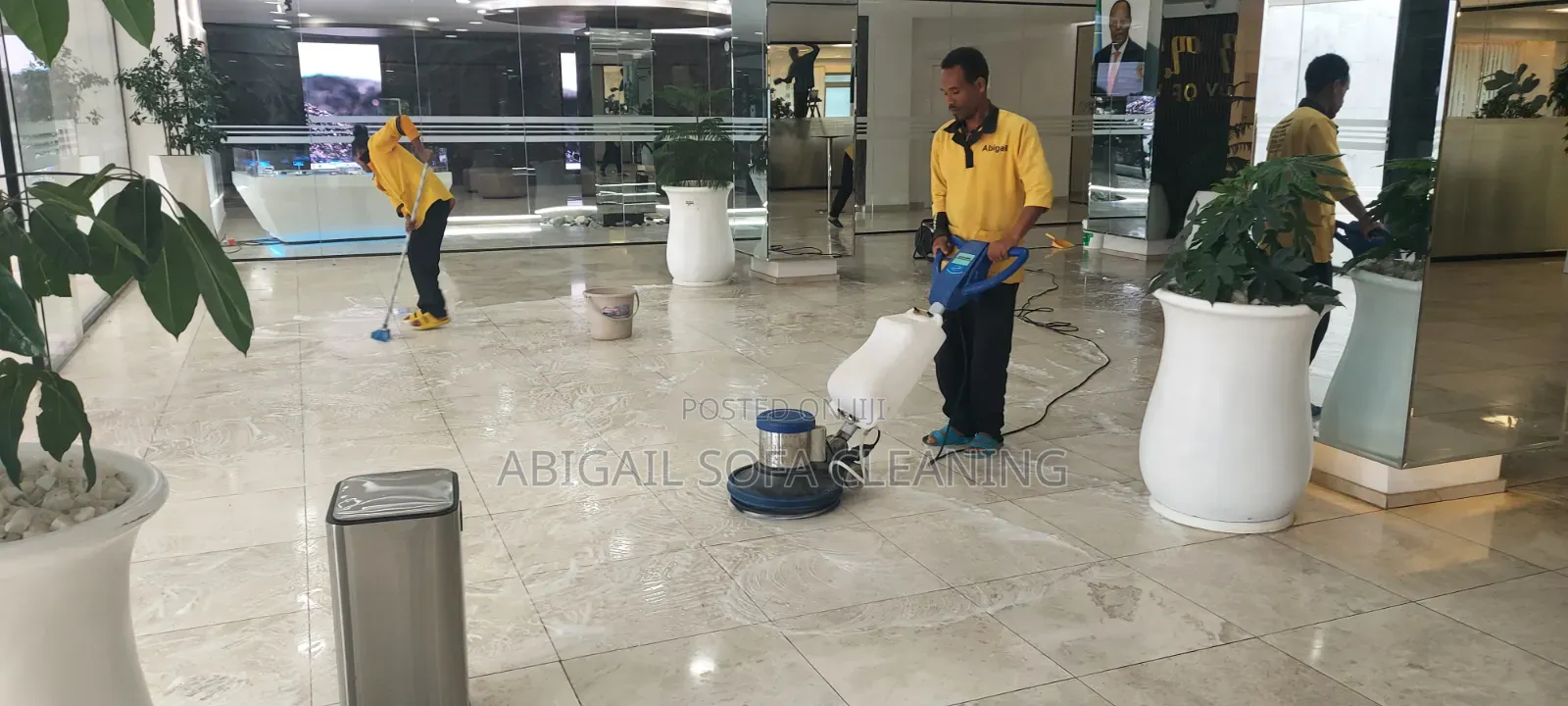 Sofa Cleaning General Cleaning Service