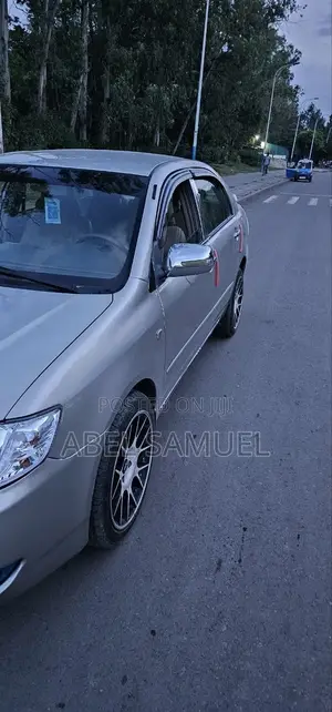 Toyota Corolla 2007 Gray