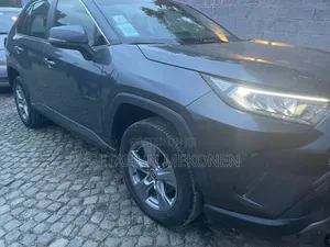 Toyota RAV4 2022 Gray