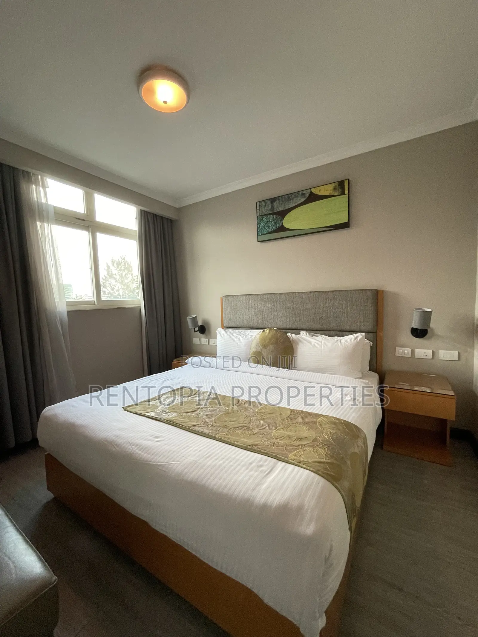 Furnished 1bdrm Apartment in Bole for rent