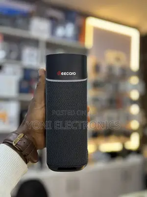 Beecaro Gf403 Outdoor/Indoor Wireless Speaker