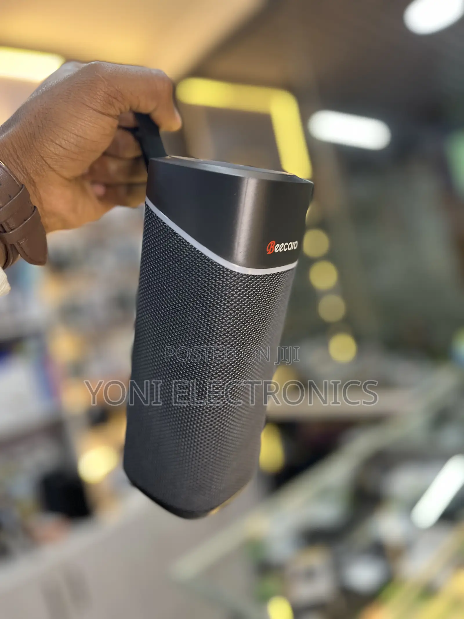 Beecaro Gf403 Outdoor/Indoor Wireless Speaker