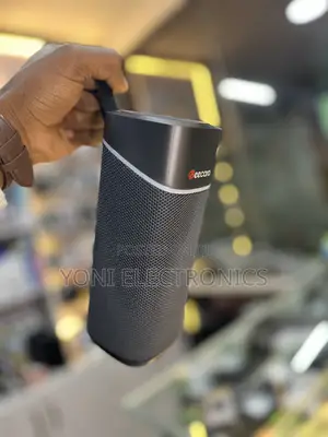 Beecaro Gf403 Outdoor/Indoor Wireless Speaker