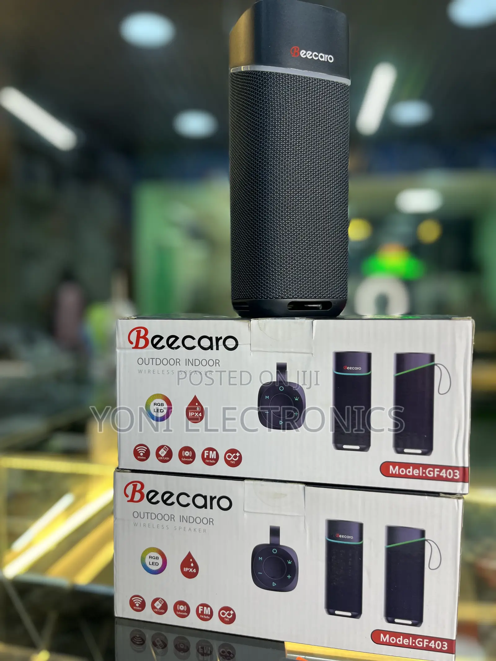 Beecaro Gf403 Outdoor/Indoor Wireless Speaker