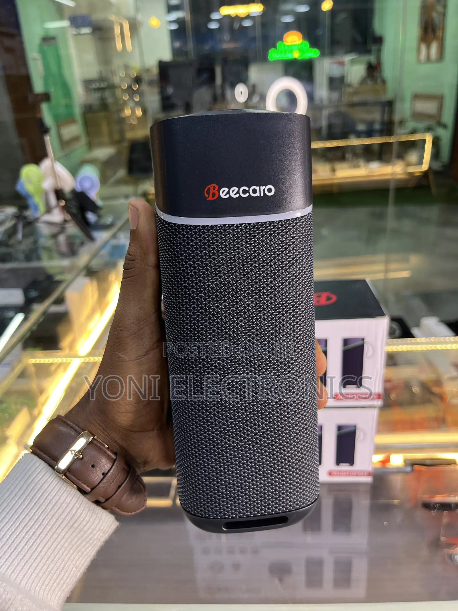 Beecaro Gf403 Outdoor/Indoor Wireless Speaker
