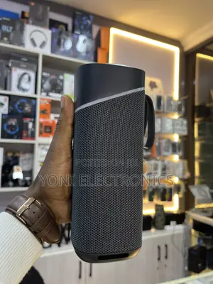 Beecaro Gf403 Outdoor/Indoor Wireless Speaker