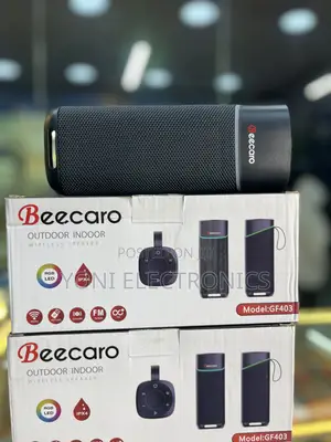 Beecaro Gf403 Outdoor/Indoor Wireless Speaker