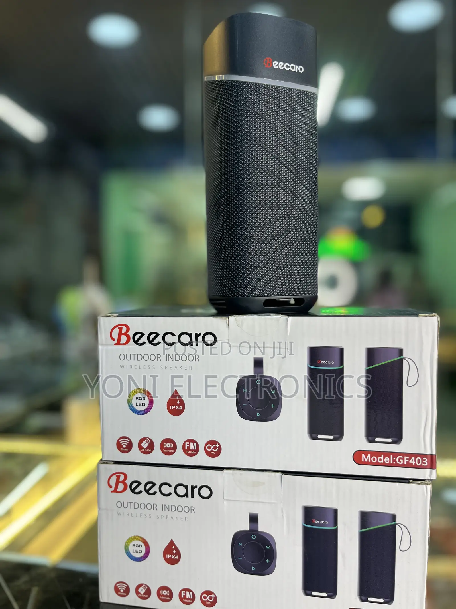 Beecaro Gf403 Outdoor/Indoor Wireless Speaker