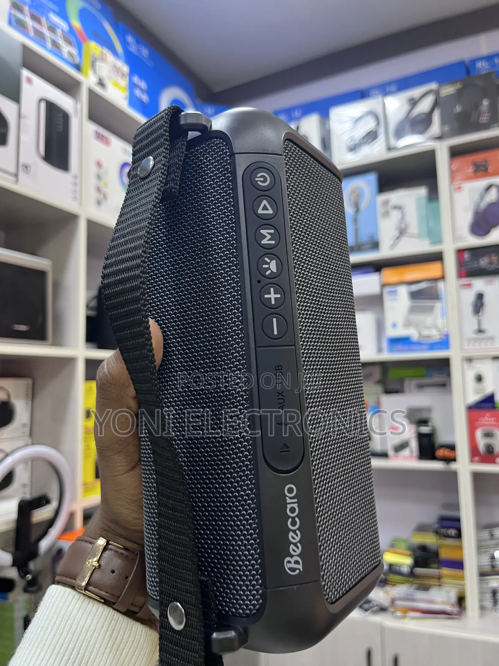 Beecaro 60w Outdoor/Indoor Portable Wireless Speaker