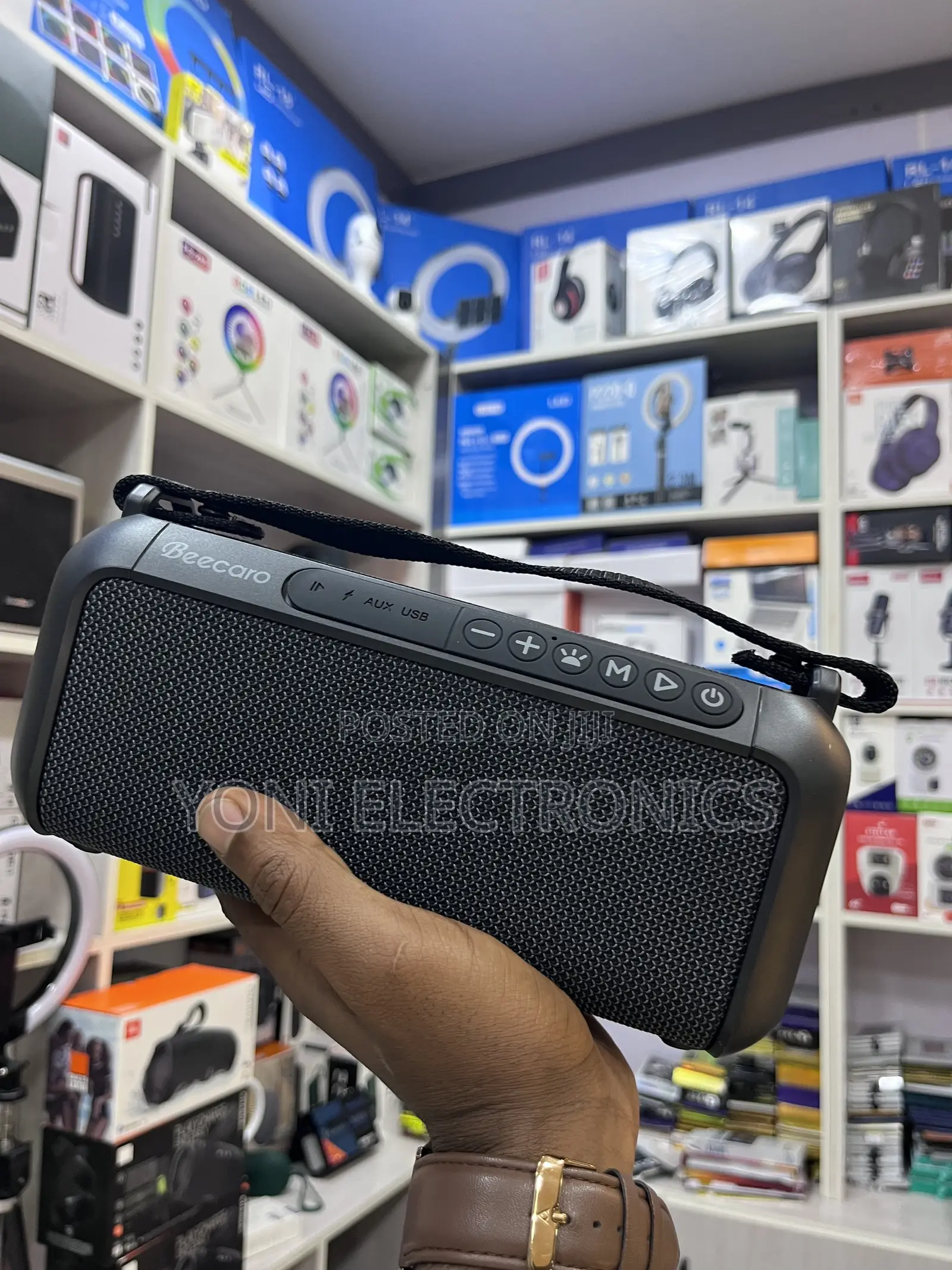 Beecaro 60w Outdoor/Indoor Portable Wireless Speaker