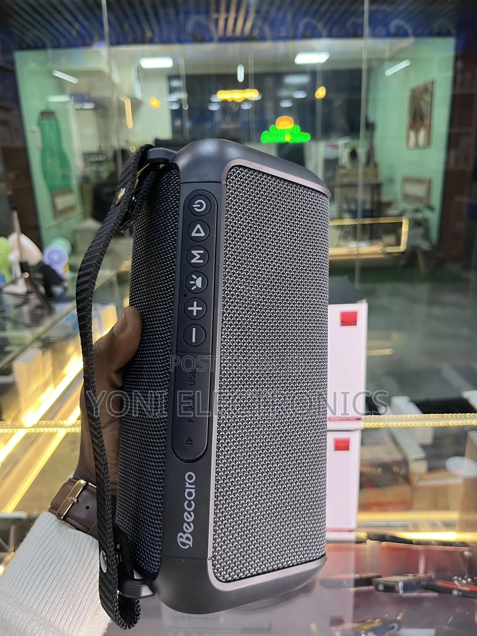 Beecaro 60w Outdoor/Indoor Portable Wireless Speaker