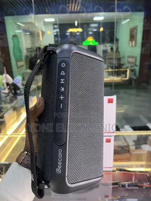 Beecaro 60w Outdoor/Indoor Portable Wireless Speaker