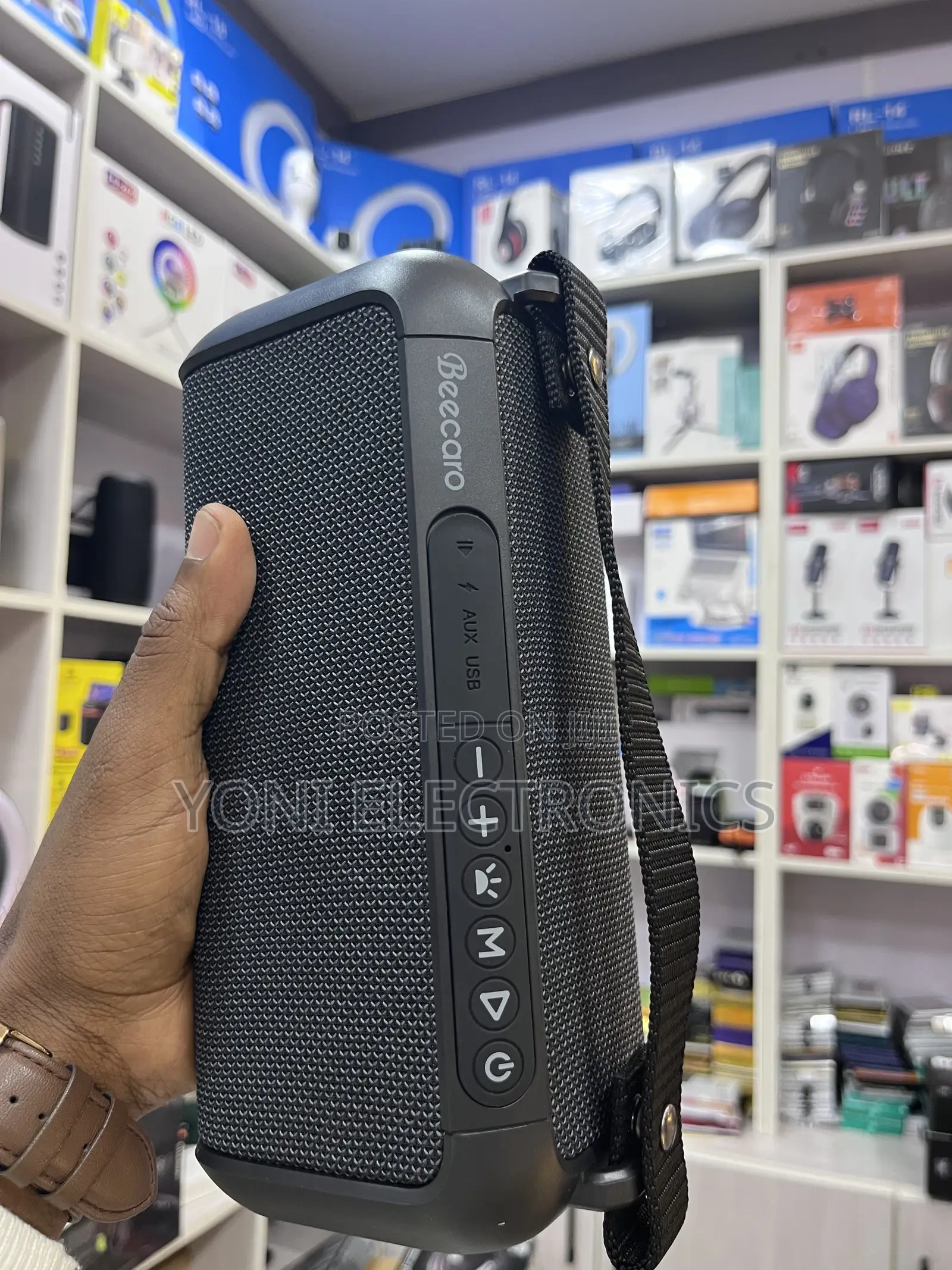 Beecaro 60w Outdoor/Indoor Portable Wireless Speaker