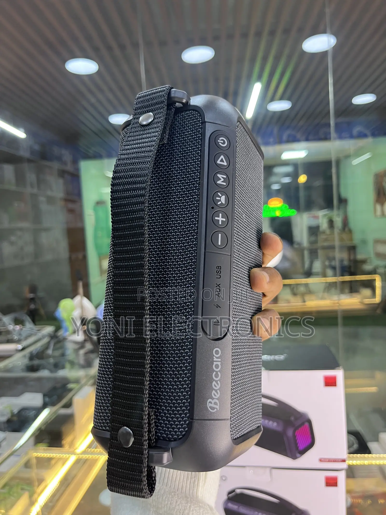 Beecaro 60w Outdoor/Indoor Portable Wireless Speaker