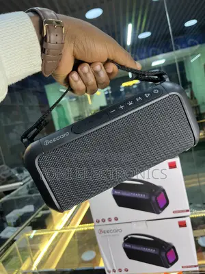 Beecaro 60w Outdoor/Indoor Portable Wireless Speaker
