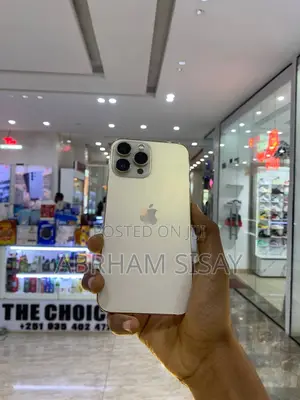 Apple iPhone 13 Pro Max 256 GB Gold