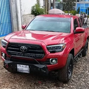 Toyota Tacoma 2019 Brown