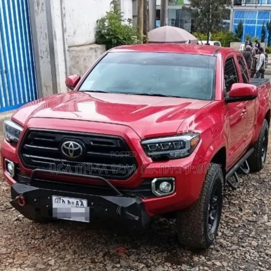 Toyota Tacoma 2019 Brown