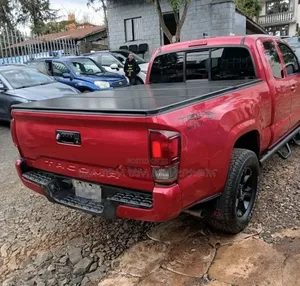 Toyota Tacoma 2019 Brown