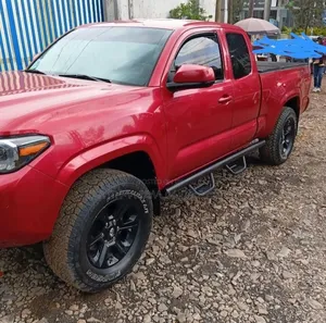 Toyota Tacoma 2019 Brown