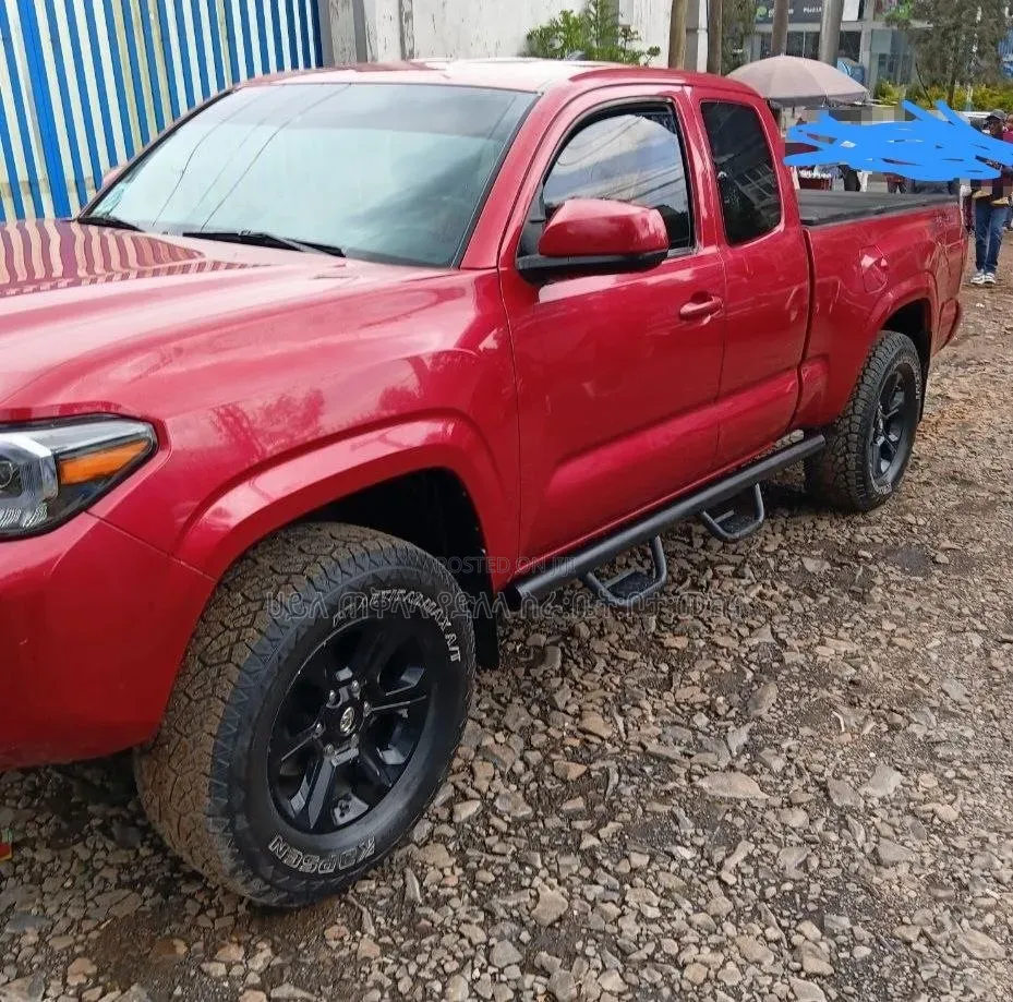 Toyota Tacoma 2019 Brown