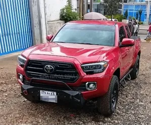 Toyota Tacoma 2019 Brown