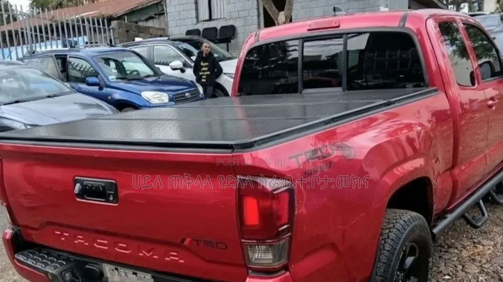 Toyota Tacoma 2019 Brown