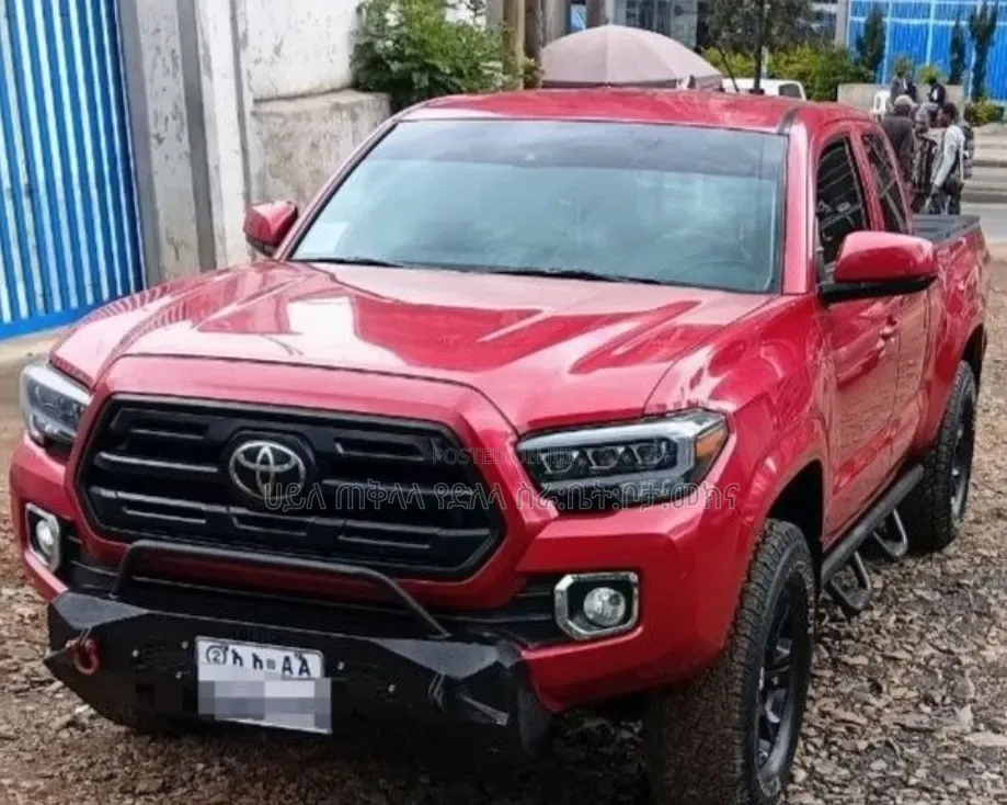 Toyota Tacoma 2019 Brown