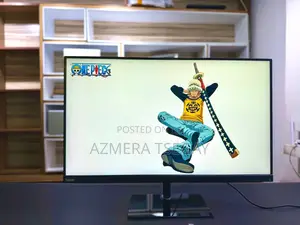 Computer Monitor
