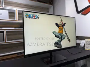 Computer Monitor