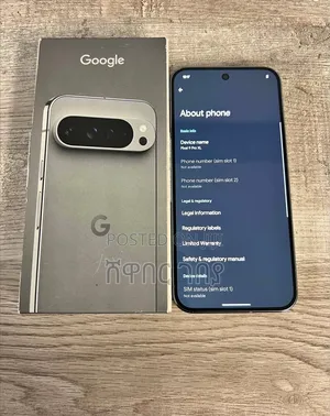 Google Pixel 9 Pro XL 256 GB Gray