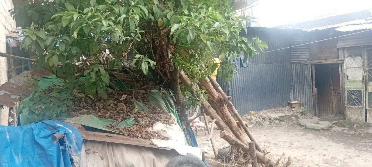 375 ካሬ ካርታ ያለው፣ ሰሚት ጊዮርጊስ አካባቢ