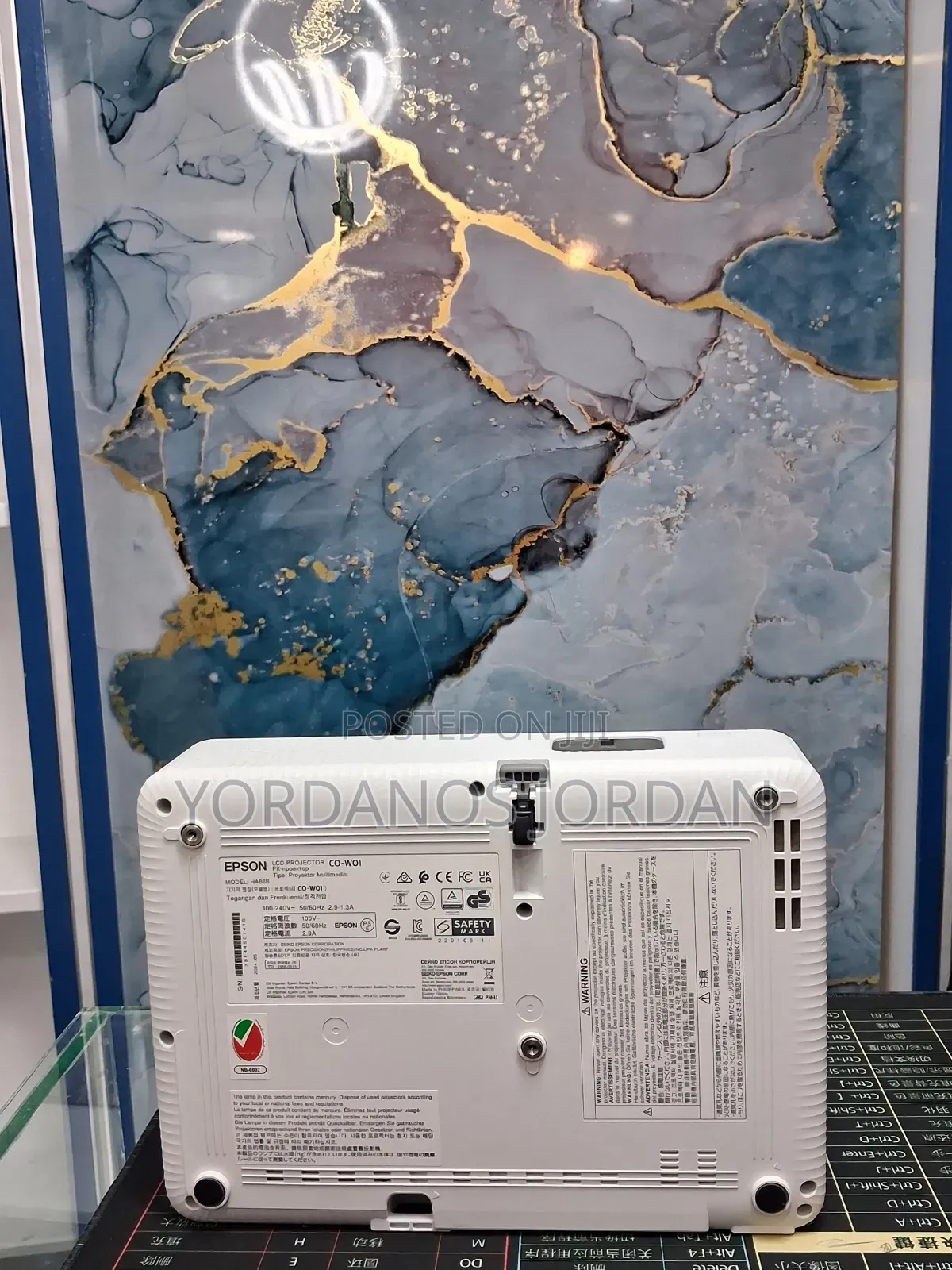 Epson Projector Co-W01