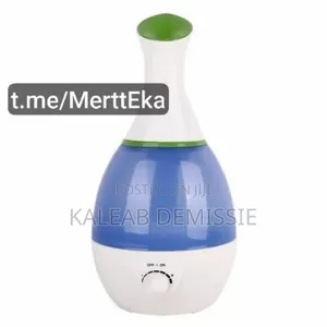 2.2 Littre Rooms Humidifier