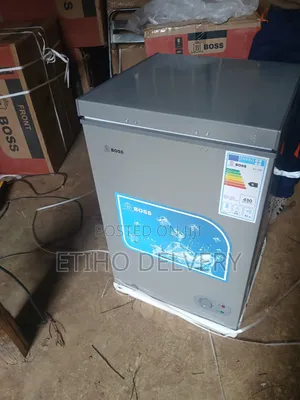 Bossthis Is a Boss Brand Silver Chest Freezer Featuring a Top-Opening