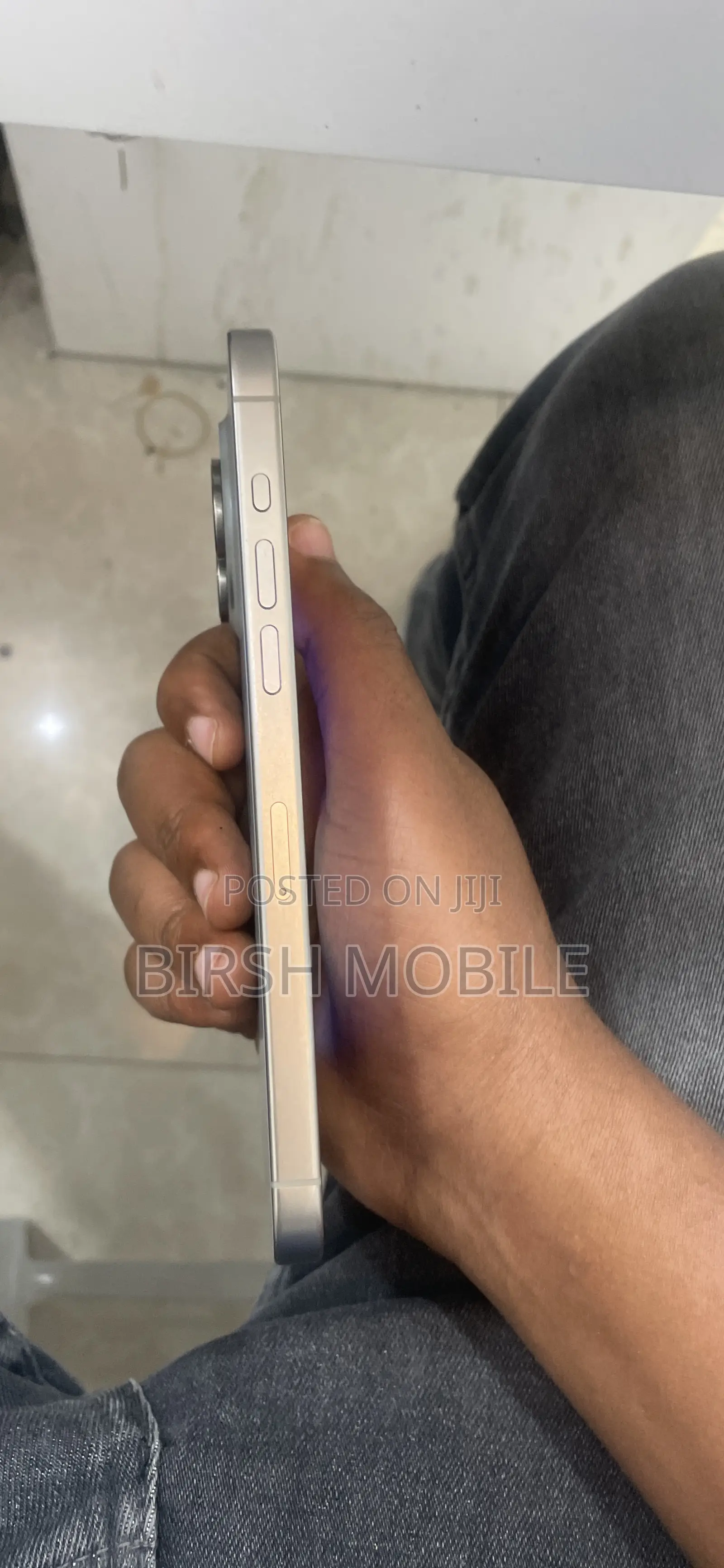 Apple iPhone 15 Pro Max 256 GB Silver