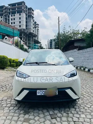 New BYD Seagull 2024 White