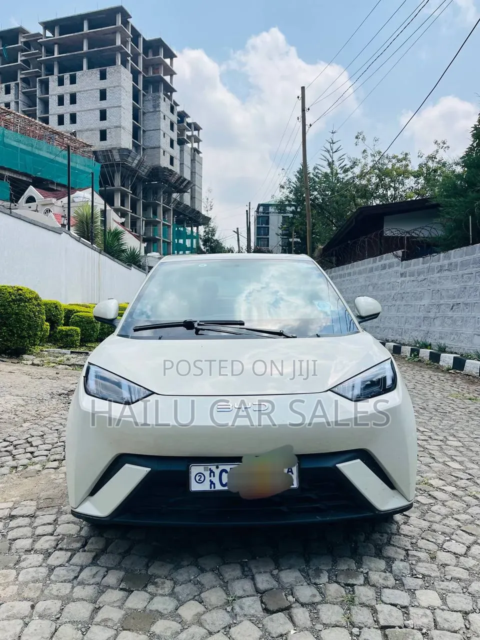 New BYD Seagull 2024 White