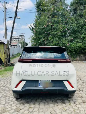 New BYD Seagull 2024 White