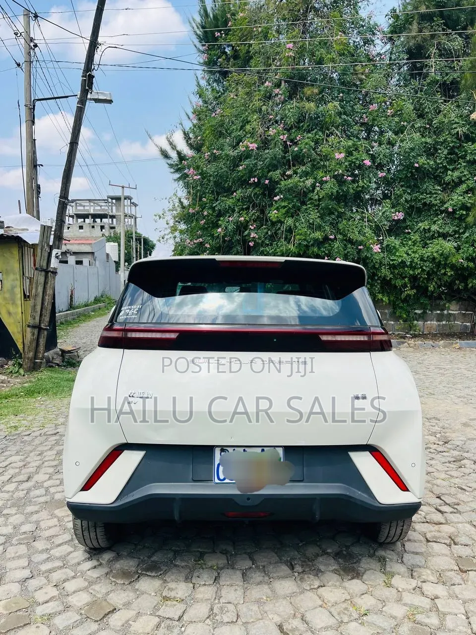 New BYD Seagull 2024 White