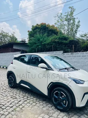 New BYD Seagull 2024 White