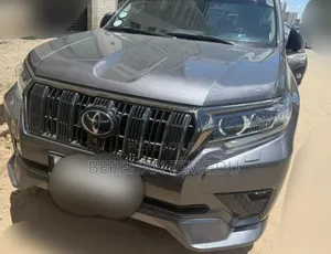 Toyota Land Cruiser 2023 Gray