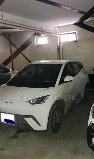 BYD Seagull 2025 White