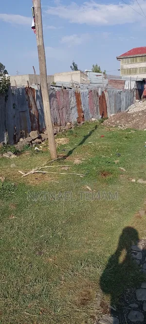 ምርጥ ቦታ ለብዙ ነገር የሚሆን በጥሩ ዋጋ