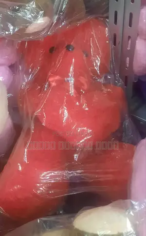 አሻንጉሊት(Toy)